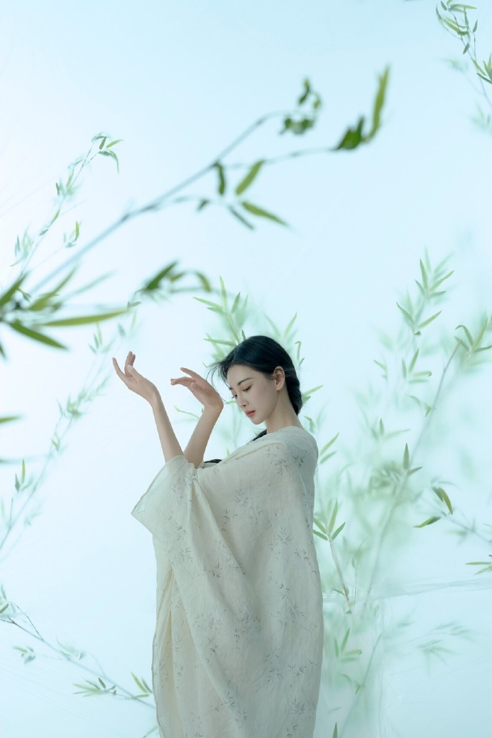 我的团长我的团 封面
